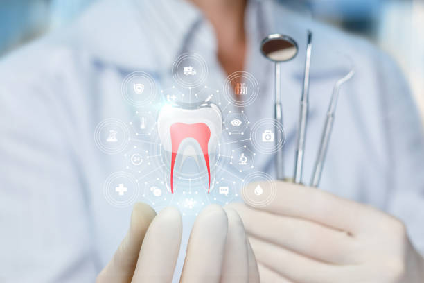 Professional Holistic Dental Care Services in Lake Dunlap, TX